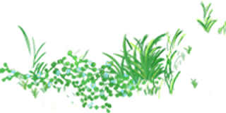 繁殖者：“希望下一个十年，我还做着自己喜欢的事”-2.png