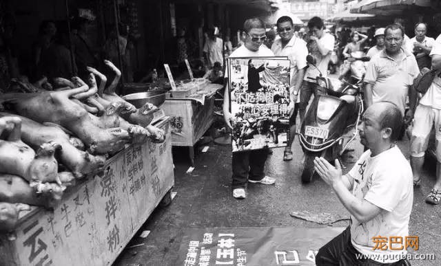 狗狗的感人故事图片,你能忍到第几张不哭?-1.jpeg