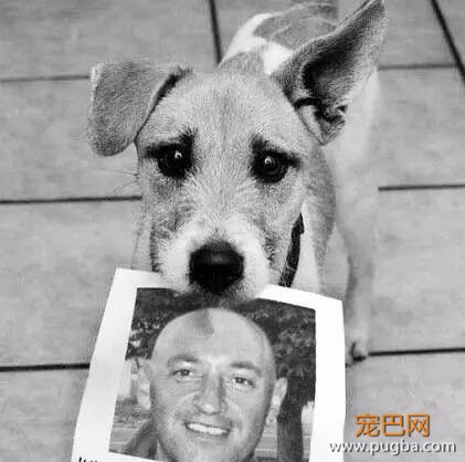 狗狗的感人故事图片,你能忍到第几张不哭?-8.jpeg