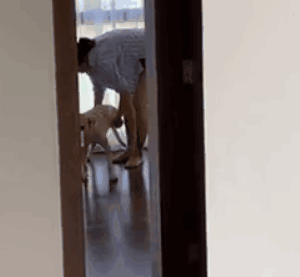 养一只有缺陷的狗狗，需要多大的勇气？-29.gif