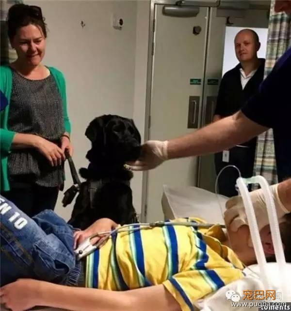 狗狗不肯离开生病小主人，背后的原因让人泪崩！-2.jpeg