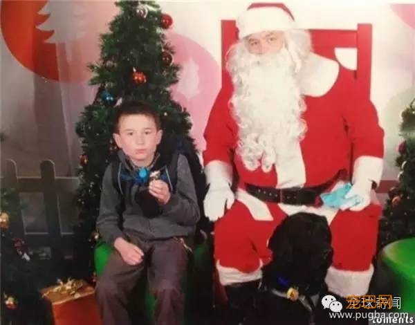 狗狗不肯离开生病小主人，背后的原因让人泪崩！-7.jpeg