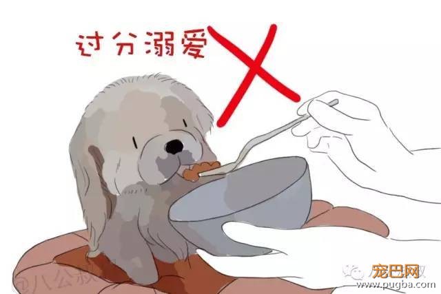狗狗得了“精神病”，我有妙招！-2.jpeg