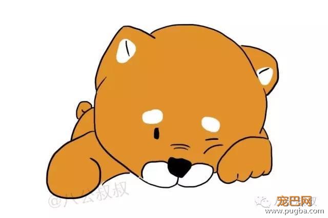 狗狗得了“精神病”，我有妙招！-1.jpeg