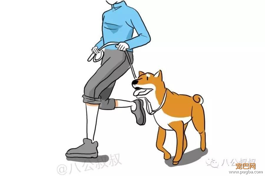 狗狗得了“精神病”，我有妙招！-3.jpeg