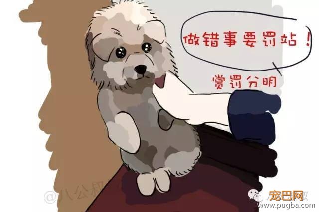 狗狗得了“精神病”，我有妙招！-4.jpeg