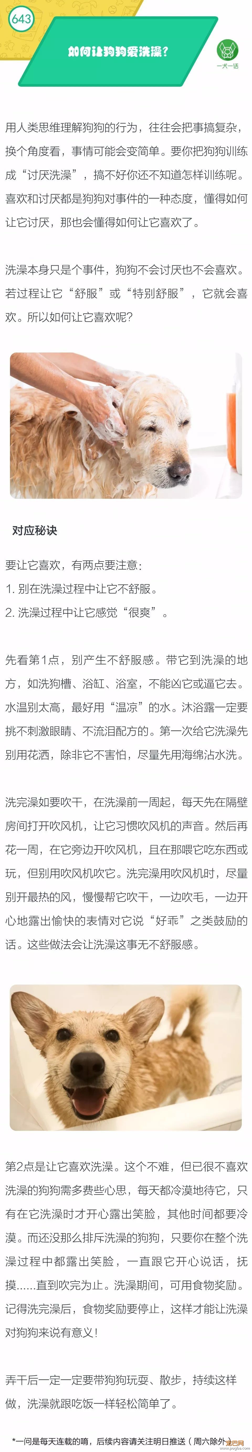 如何让狗狗爱上洗澡？-1.jpeg