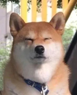 狗粑粑属于什么垃圾？看看这套狗狗版本的垃圾分类-5.jpeg