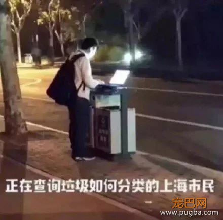 狗粑粑属于什么垃圾？看看这套狗狗版本的垃圾分类-1.jpeg