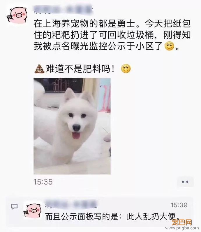 狗粑粑属于什么垃圾？看看这套狗狗版本的垃圾分类-2.jpeg