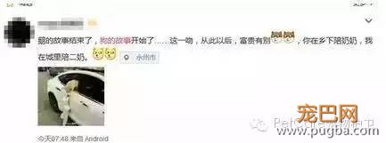 大鹅故事结束了，狗狗爱情开始了-3.jpeg