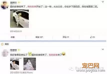 大鹅故事结束了，狗狗爱情开始了-2.jpeg