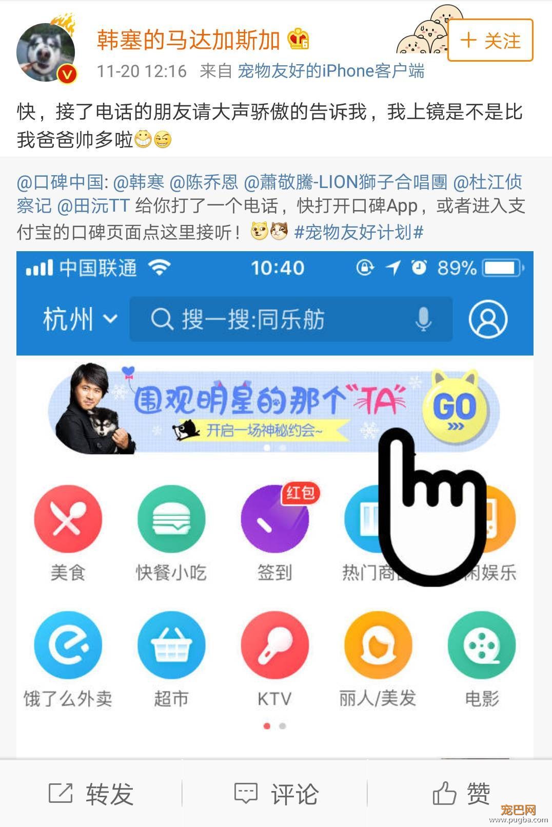 从火锅到法餐，魔都这10家餐厅喊你家狗子来吃饭了！-2.jpeg