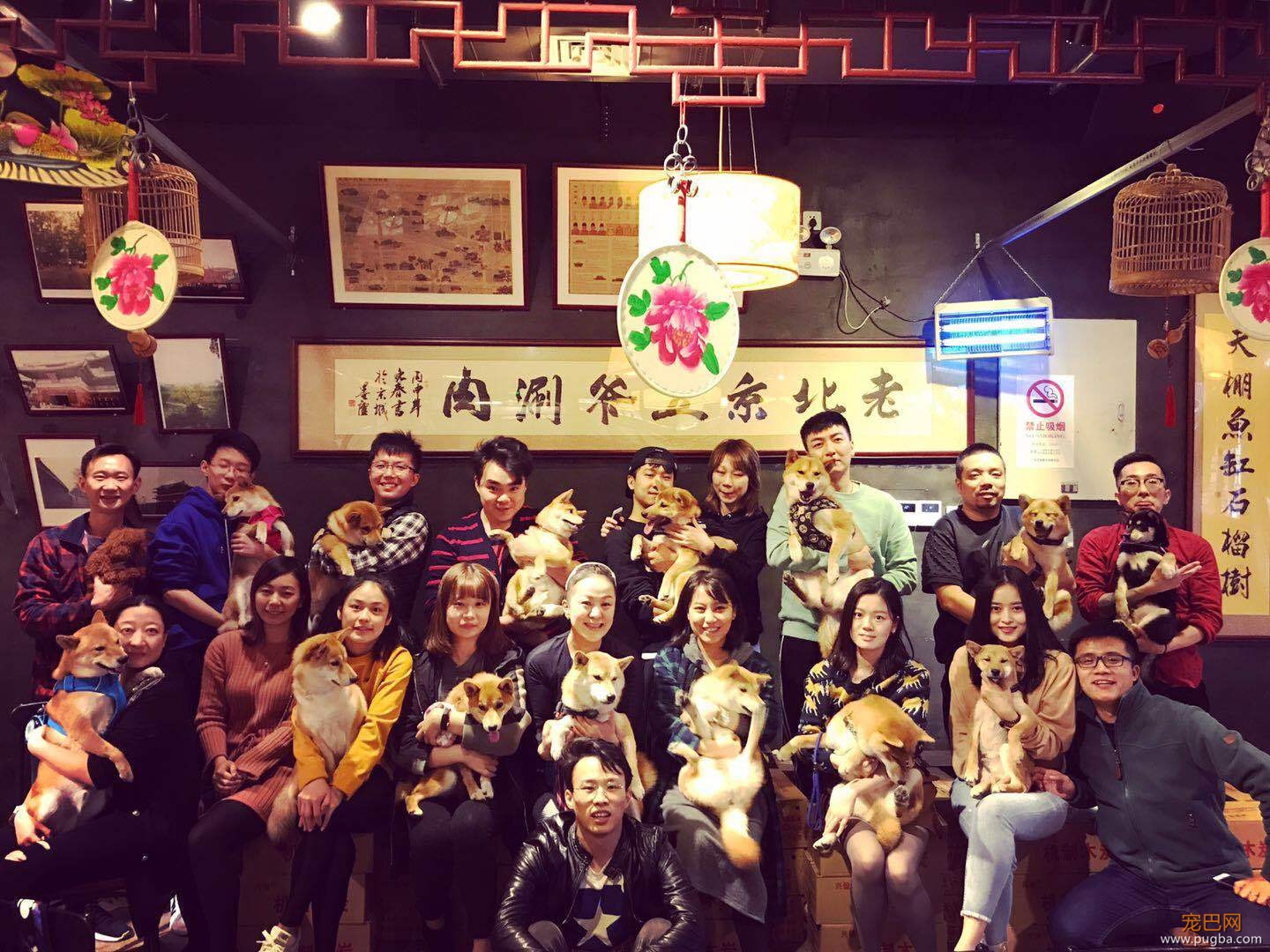 从火锅到法餐，魔都这10家餐厅喊你家狗子来吃饭了！-4.jpeg