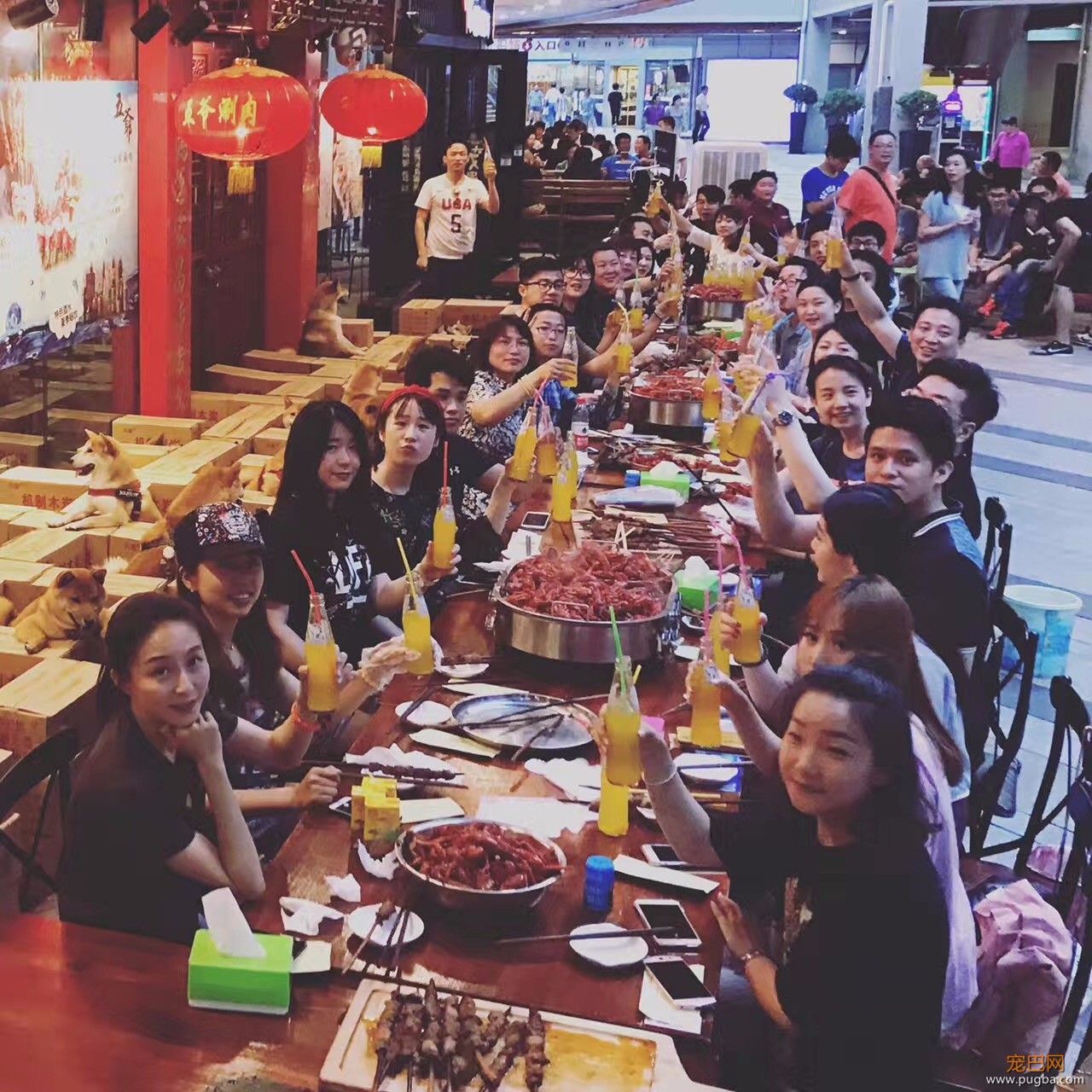 从火锅到法餐，魔都这10家餐厅喊你家狗子来吃饭了！-5.jpeg