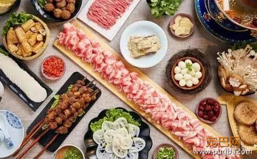 从火锅到法餐，魔都这10家餐厅喊你家狗子来吃饭了！-8.jpeg