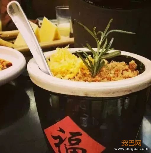 从火锅到法餐，魔都这10家餐厅喊你家狗子来吃饭了！-16.jpeg