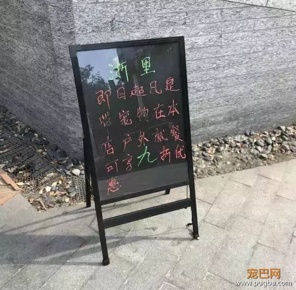 从火锅到法餐，魔都这10家餐厅喊你家狗子来吃饭了！-14.jpeg