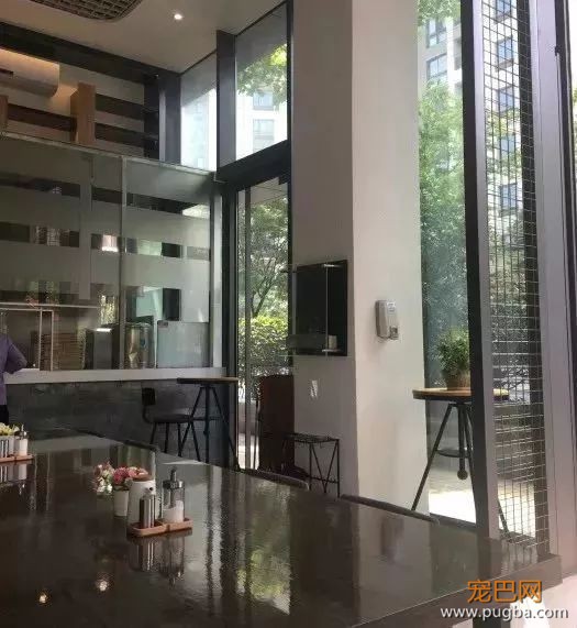 从火锅到法餐，魔都这10家餐厅喊你家狗子来吃饭了！-18.jpeg