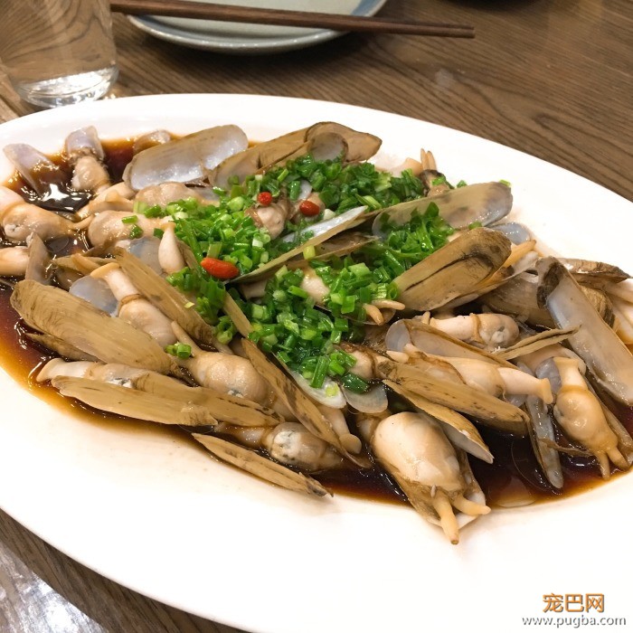 从火锅到法餐，魔都这10家餐厅喊你家狗子来吃饭了！-20.jpeg