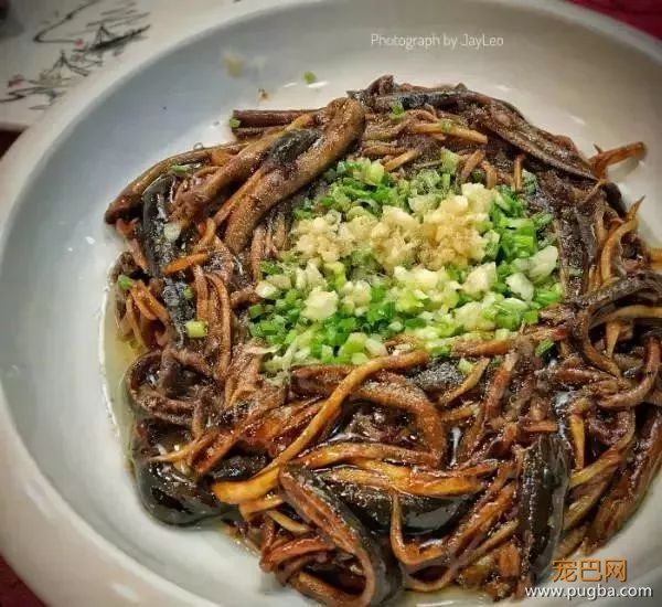 从火锅到法餐，魔都这10家餐厅喊你家狗子来吃饭了！-23.jpeg