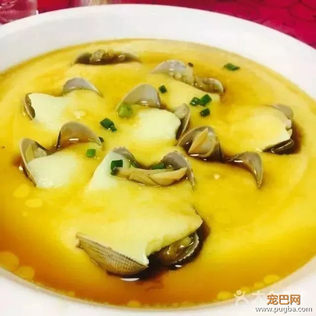 从火锅到法餐，魔都这10家餐厅喊你家狗子来吃饭了！-27.jpeg