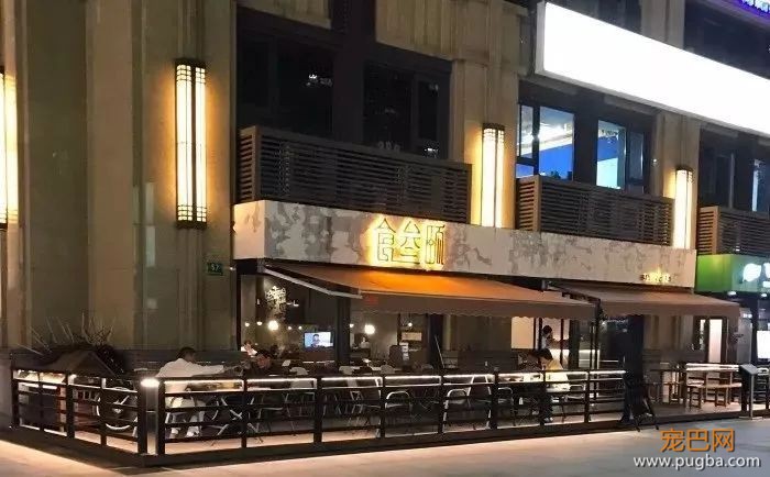 从火锅到法餐，魔都这10家餐厅喊你家狗子来吃饭了！-31.jpeg