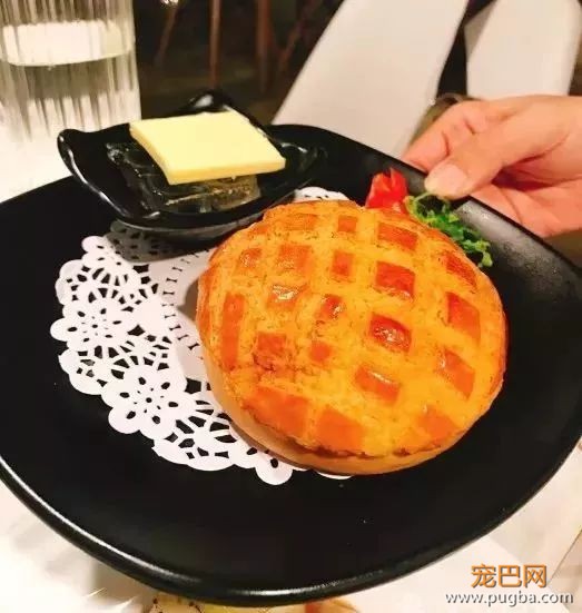 从火锅到法餐，魔都这10家餐厅喊你家狗子来吃饭了！-33.jpeg