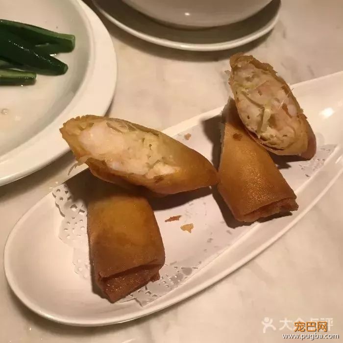 从火锅到法餐，魔都这10家餐厅喊你家狗子来吃饭了！-37.jpeg