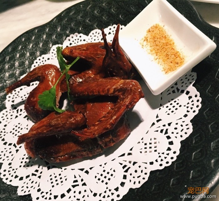 从火锅到法餐，魔都这10家餐厅喊你家狗子来吃饭了！-39.jpeg