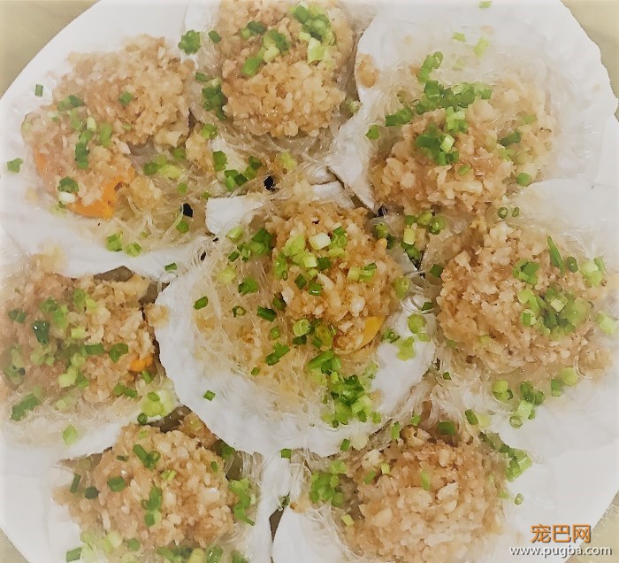 从火锅到法餐，魔都这10家餐厅喊你家狗子来吃饭了！-36.jpeg