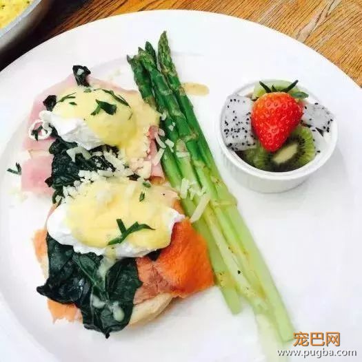 从火锅到法餐，魔都这10家餐厅喊你家狗子来吃饭了！-42.jpeg