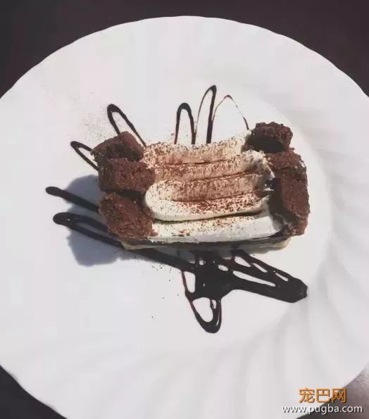 从火锅到法餐，魔都这10家餐厅喊你家狗子来吃饭了！-54.jpeg