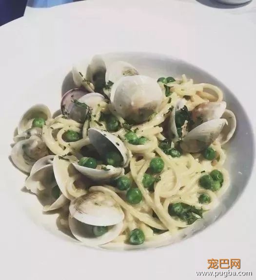 从火锅到法餐，魔都这10家餐厅喊你家狗子来吃饭了！-55.jpeg