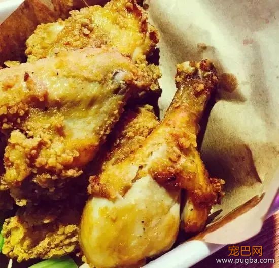 从火锅到法餐，魔都这10家餐厅喊你家狗子来吃饭了！-60.jpeg