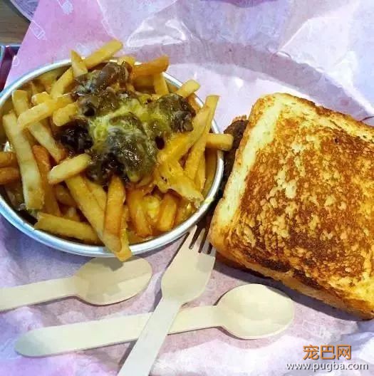 从火锅到法餐，魔都这10家餐厅喊你家狗子来吃饭了！-61.jpeg
