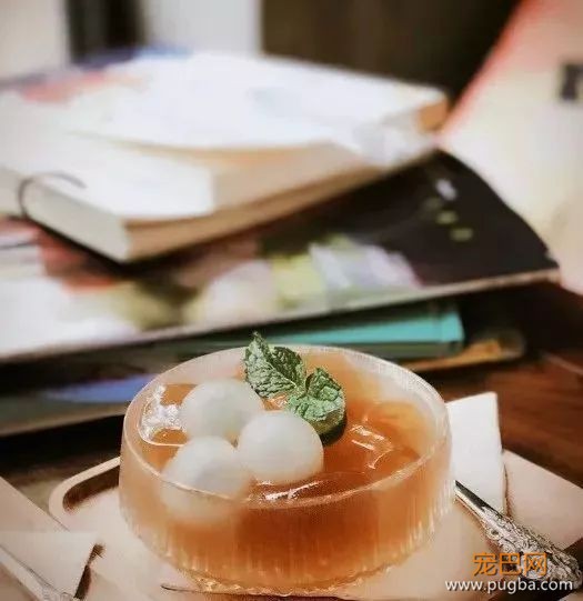 从火锅到法餐，魔都这10家餐厅喊你家狗子来吃饭了！-77.jpeg
