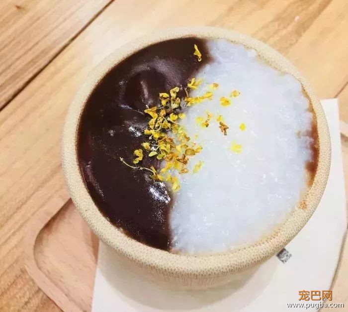 从火锅到法餐，魔都这10家餐厅喊你家狗子来吃饭了！-79.jpeg