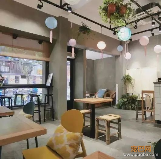 从火锅到法餐，魔都这10家餐厅喊你家狗子来吃饭了！-78.jpeg