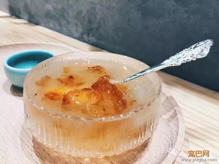 从火锅到法餐，魔都这10家餐厅喊你家狗子来吃饭了！-84.jpeg