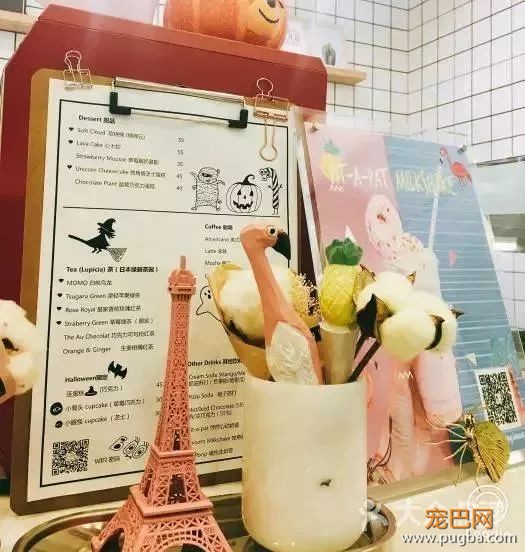 从火锅到法餐，魔都这10家餐厅喊你家狗子来吃饭了！-89.jpeg