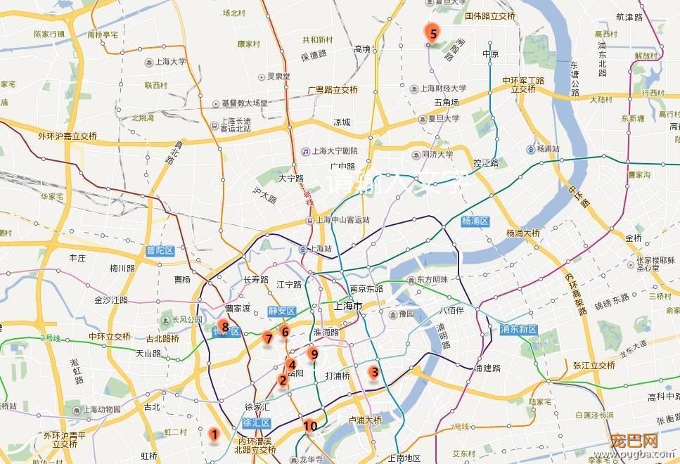从火锅到法餐，魔都这10家餐厅喊你家狗子来吃饭了！-94.jpeg