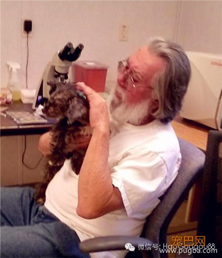 命中注定！爱犬走失8年后与主人再度重逢-4.jpeg