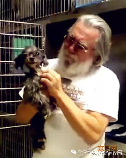 命中注定！爱犬走失8年后与主人再度重逢-2.jpeg