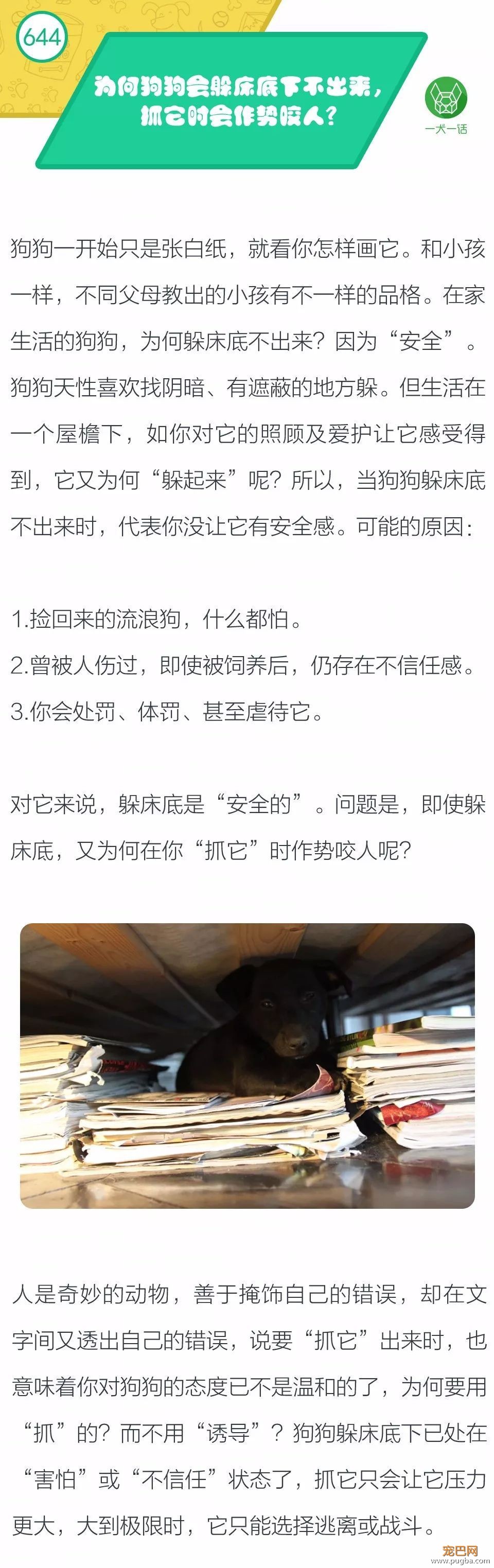 为何狗狗会躲床底下不出来，抓它时还作势咬人？-1.jpeg