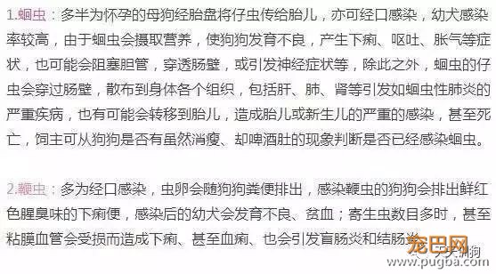 犬只的驱虫常识，养狗须知！-1.jpeg