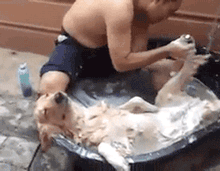 养了宠物狗半年才发现原来是兔，当时我就蒙圈了！-10.gif