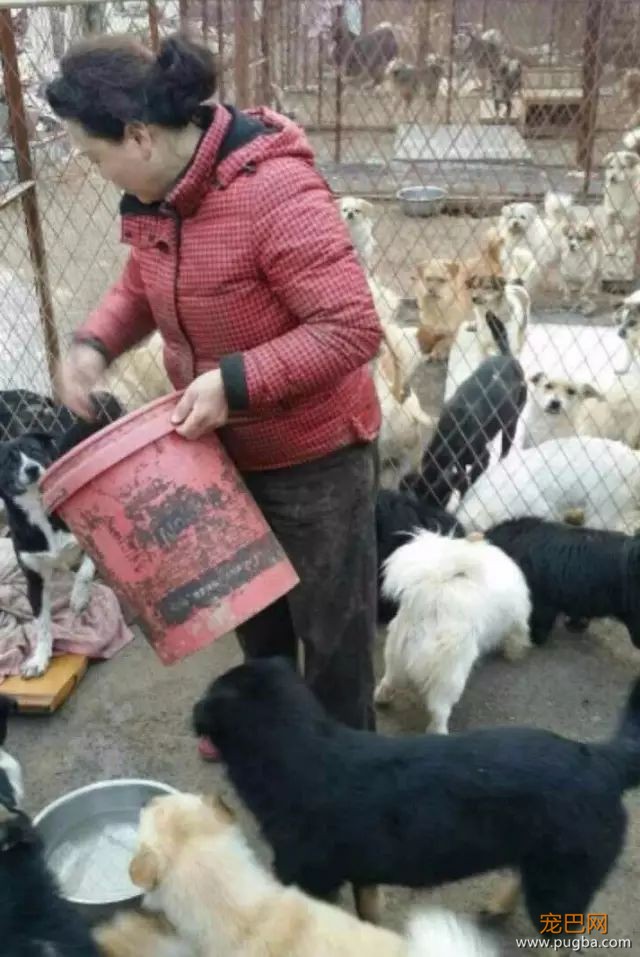 陪伴一生的主人，却用如此“极端”方式来结束它的生命，寒心！-11.jpeg