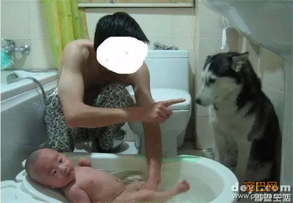 说怀孕就不能养狗的人，那是他们没有常识！-6.jpeg