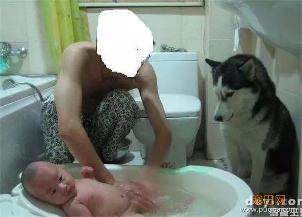说怀孕就不能养狗的人，那是他们没有常识！-5.jpeg